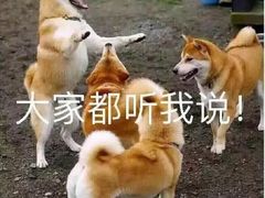 -那胡同里的小烤肉馆(开发区万达店)