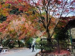 -比叡山