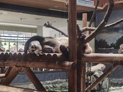 -西安秦岭野生动物园