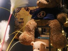 -咖法森林·咖啡  酒吧(天河店)