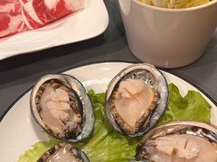 -金龙·打边炉(南京西路店)