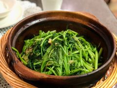 啫啫虾酱空心菜-熠盛粤味·顺德桑拿鸡(永康路店)