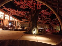 -蓝鲸湾汤泉(包河店)