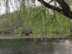 -共青国家森林公园-售票处