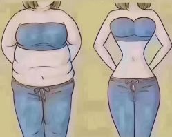 -香薇妮丝女子减肥院