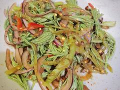 -云上千禾(水上店)