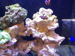 -zoonana室内动物园(东方福来德店)