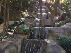 -广州市流溪河国家森林公园