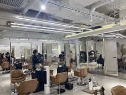 点击看大图 -MY HAIR ARDOR