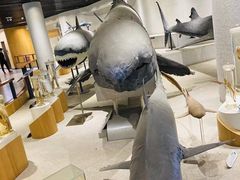 -青岛海底世界-水族馆