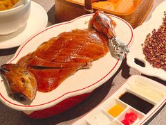 -秀儿四九城·新京菜(亚运村鸟巢店)