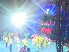 -水秀国际大剧院