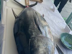 -日本大使馆-新闻文化中心