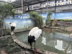 -成都动物园