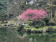 -杭州植物园