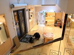 -Pets First伊珊娜洗护·精致美容·家庭式寄养(新会路店)