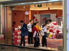 -潘祥记鲜花饼(昆明长水国际机场店)