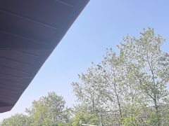 -宝荣鱼馆·临湖之宴(千岛湖店)