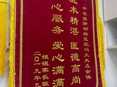 -中农国际动物医院24小时·猫科·骨科·急重症中心