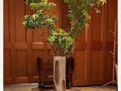 -A One Kitchen·南京精菜馆(德基广场店)