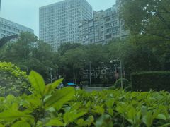 -星巴克(丁香国际商业中心店)