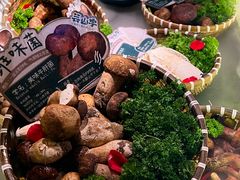 -芸山季·云南山珍菌火锅(人民广场来福士店)