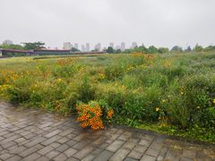 -白塘生态植物园