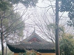 -苏州上方山国家森林公园
