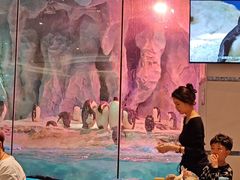 -帝企鹅自助餐厅•儿童岛•真企鹅(长隆企鹅酒店)