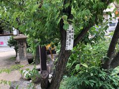 -难波八坂神社