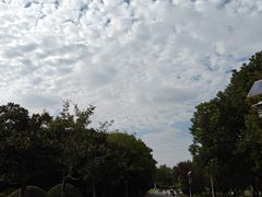 -安徽大学(磬苑校区)
