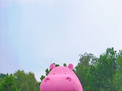 -圣露庄园·亲子活动乐园·露营·团建婚礼