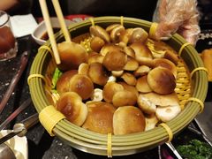 -捞王猪肚鸡火锅(财富中心店)