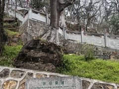 -宝通禅寺