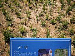 -太阳宫公园