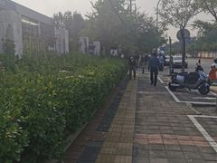 -车辆管理所京丰分所-停车场