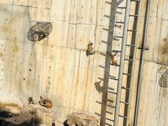 -无锡动物园·太湖欢乐园
