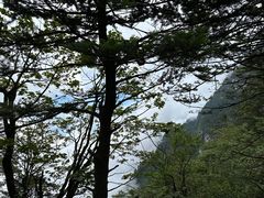 -峨眉山风景名胜区