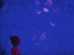 -沈阳海洋探索中心