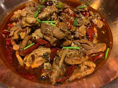 -成老灶火锅鸡(高东街店)