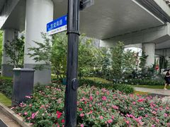 -漕溪路(地铁站)