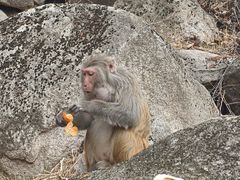 -崂山巨峰游览区