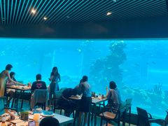 -海棠湾洲际-涛·海底餐厅·美人鱼·自助餐·海底隧道