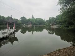 -青龙山国家森林公园