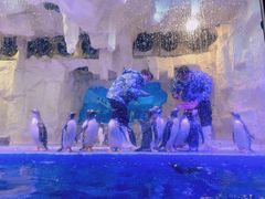 -华夏文旅海洋公园