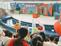 -成都浩海立方海洋公园