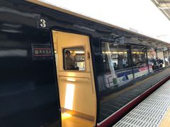 -伊豆观海列车