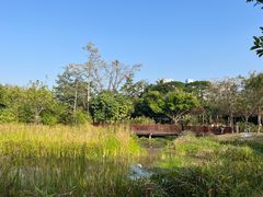 -福田红树林生态公园