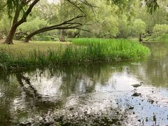 -上海共青森林公园