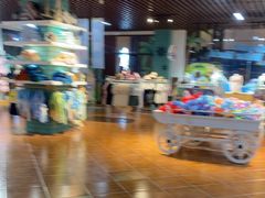 -泉城欧乐堡水上世界